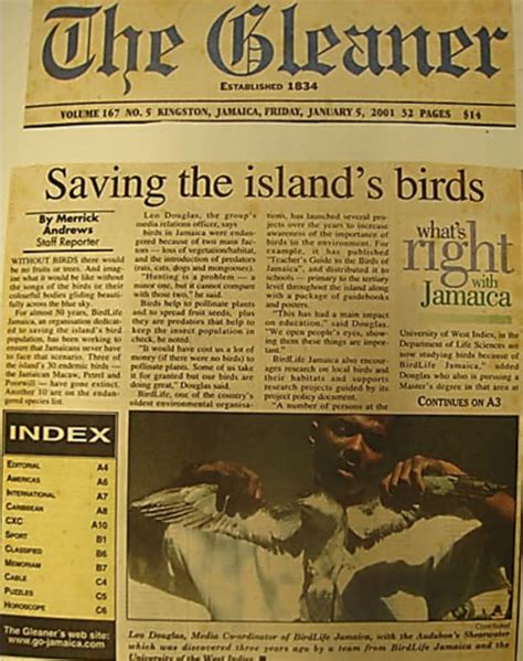 gleaner article bcpe in jamaica birdscaribbean
