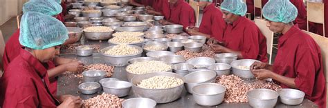 Find detailed information on food manufacturing companies in kerala, india, including financial statements, sales and marketing contacts, top competitors, and firmographic insights. Kerala Nut Food Co.- Cashews, Nuts, Kernels, Cashew nuts ...