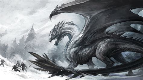 Black And White Dragon Wallpaper Wallpapersafari