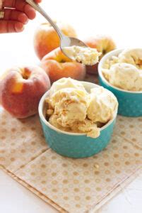 Honey Peach Frozen Yogurt Recipe Runner