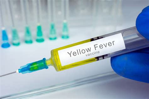 data shows who yellow fever recommendations may not be effective for all age groups homeland