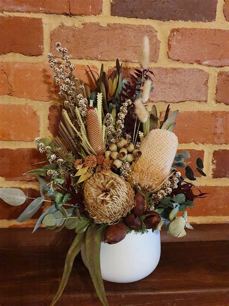 Dried Australian Native Floral Arrangement Spinebill Room Flower