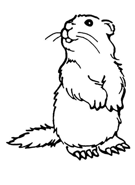 Https://techalive.net/coloring Page/ground Hog Coloring Pages