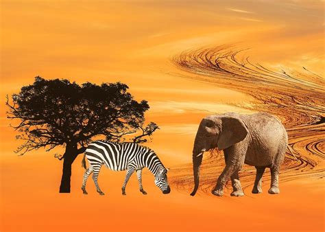 African Safari By Sharon Lisa Clarke