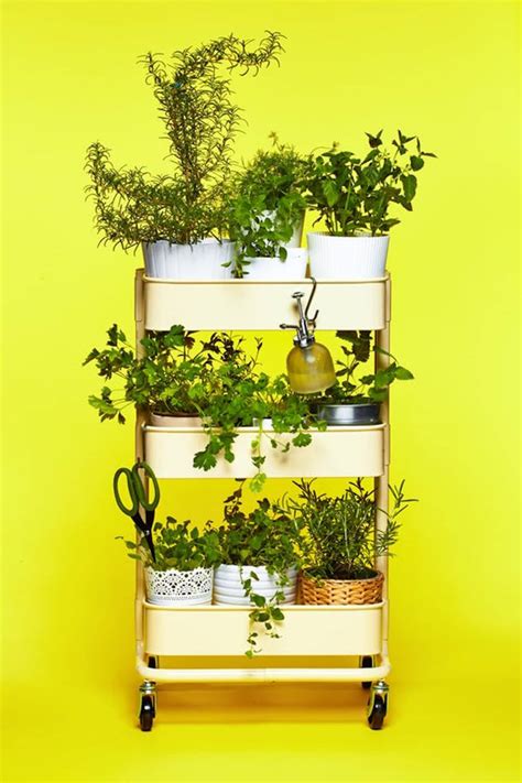 Indoor Herb Garden Diy Ideas Apartment Therapy