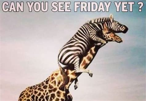 Its friday and imexhausted elolcom | friday meme on me.me. The 20 Best Friday Memes