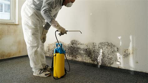 Knowing how mold occurs and how to get rid of it will help you determine your home insurance needs in regards to this potentially hazardous growth. Does Homeowners Insurance Cover Mold?