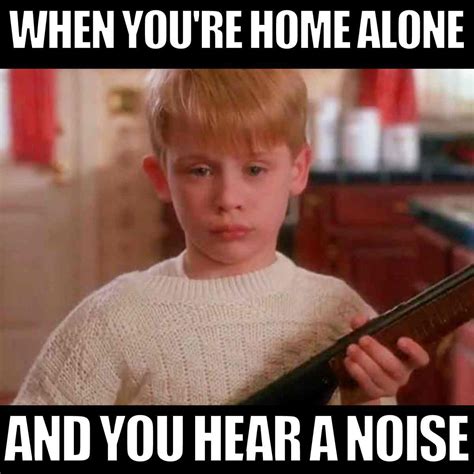 15 Home Alone Memes To Get You In The Holiday Spirit
