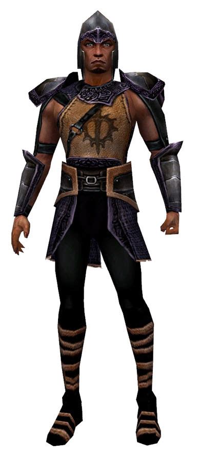 Shining Blade Recruit Warrior Guild Wars Wiki Gww