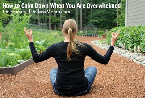 When it is dealt with, we feel calm. How to Calm Down When You Are Overwhelmed - One Hundred ...