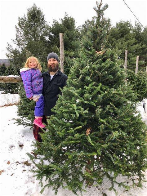 Where To Find Your Christmas Tree In Bennington Vermont Vermont