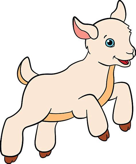 Kid Goat Illustrations Royalty Free Vector Graphics And Clip Art Istock