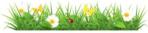 Grass Ground with Flowers Clipart Picture | Gallery Yopriceville - High ...