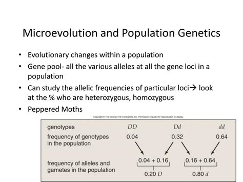 ppt population genetics powerpoint presentation free download id 2941489