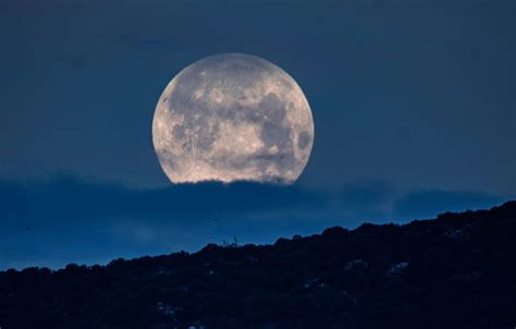 I saw it written and i saw it say pink moon is on it's way and none of you stand so tall. The April pink supermoon in pictures