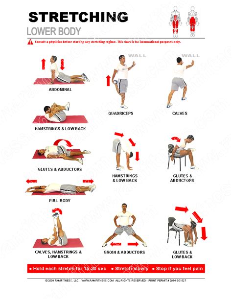 Lower Body Stretching Exercises