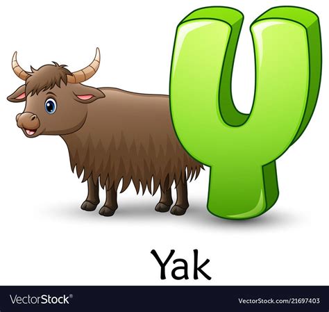 From the eastern greek alphabet, they borrowed y and z, which were added to the end of the alphabet because the only time they were used was to write greek words. illustration of Letter Y is for Yak cartoon alphabet ...