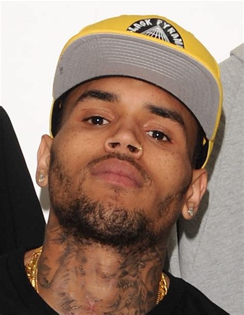 Chris Brown Fans Are Insane But Why The Hollywood Gossip