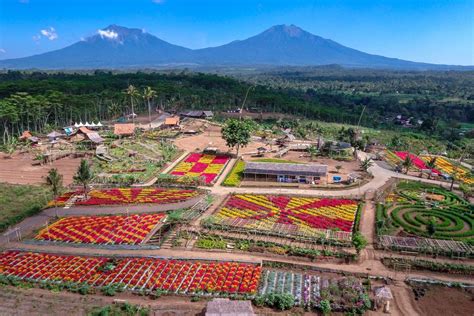 Wisata Yang Bisa Dilakukan Di Banyuwangi Saat New Normal Apa Saja