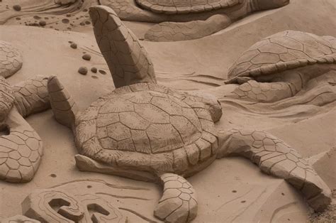 Swimming Turtle Snow Sculptures Sand Sculpture Beach Sand Castles