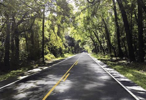 Highway 61 Road Improvement Progress Preservation Society Of Charleston