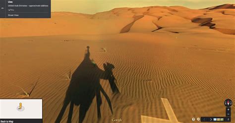 1yr · hassanytheperson · r/damnthatsinteresting. google hires camel to film liwa desert 'street' view
