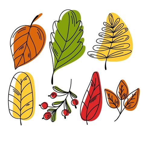 Premium Vector Hand Drawn Vector Autumn Leaves Set