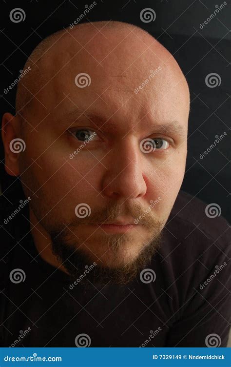 Portrait Of Bald Headed Man Royalty Free Stock Images Image 7329149