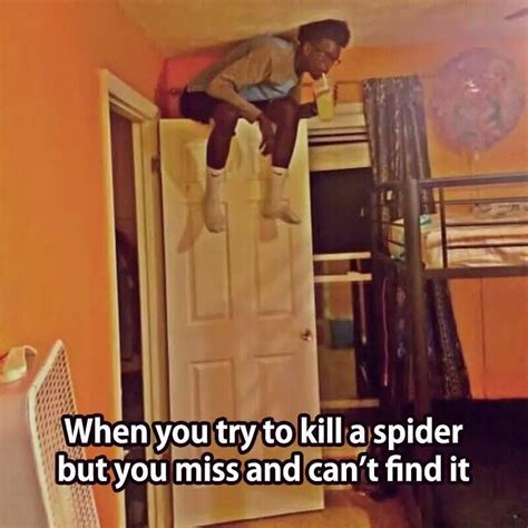 Spider Spiders Funny Funny Quotes Funny Texts