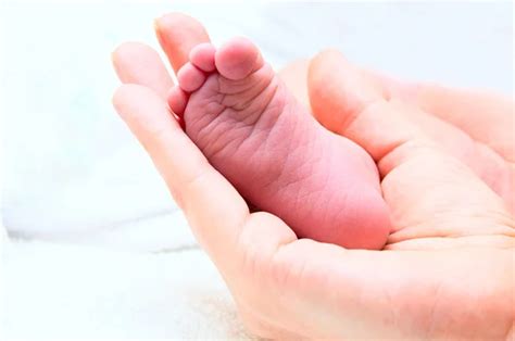 Baby Feet — Stock Photo © Alenkasm 1251098