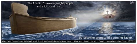 Why Build An Ark Answers In Genesis