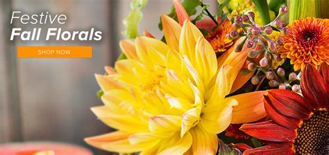 Dallas Florist Flower Delivery By All Occasions Florist
