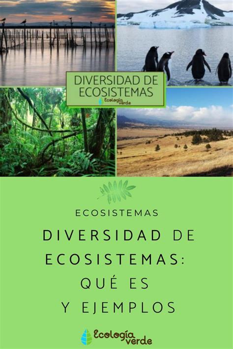 Diversidad De Ecosistemas Qué Es Y Ejemplos Resumen Diversidad De