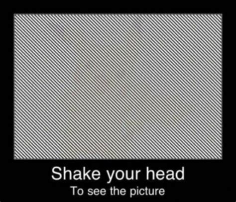 Great Optical Illusions Others