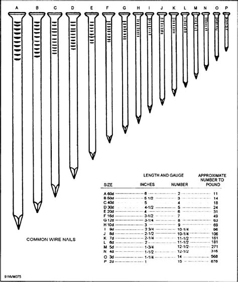 Figure 3 49 Types Of Nails And Nail Sizes