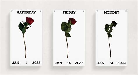 Ephemeral Flowers Daily Calendar by Dominique Marchini – SVA Design