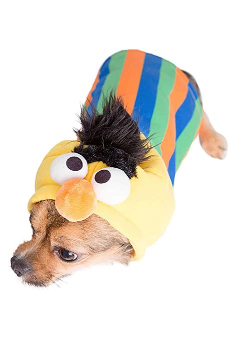Pet Krewe Medium Bert Costume Sesame Street Bert Dog Costume Fits