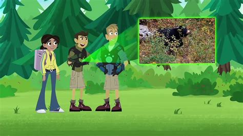 Wild Kratts Discover Pandas And More Bears Video Dailymotion