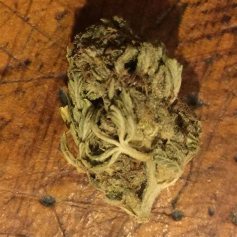 Photos Of Green Crack Weed Strain Buds Leafly