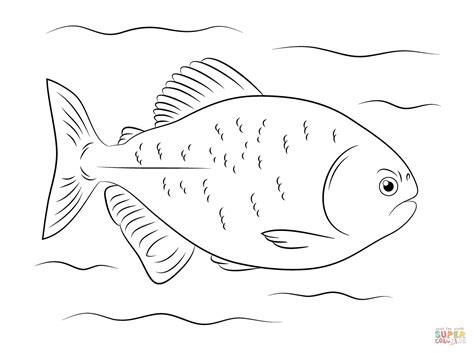 Red Bellied Piranha coloring page | Free Printable Coloring Pages