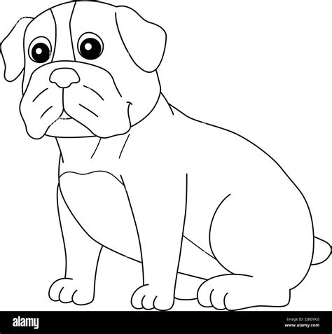 Bulldog Dog Coloring Page Isolated For Kids Stock Vector Image And Art