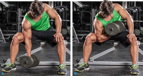 Barbell Vs Dumbbell Curl Which Is Best For Big Biceps