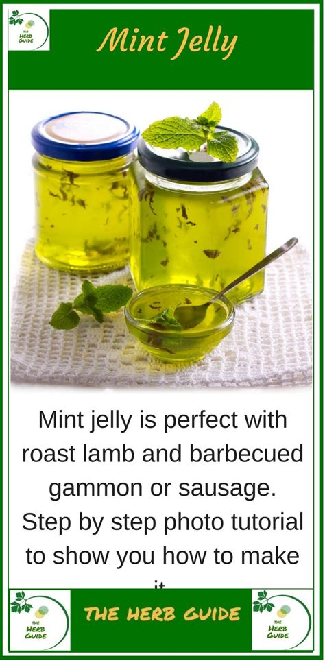 Mint Jelly Mint Jelly Mint Jelly Recipe Apple Mint Jelly Recipe