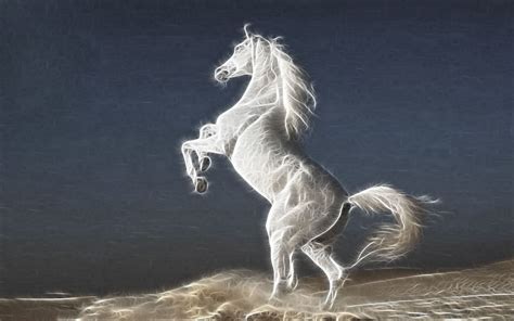 White Stallion Full Hd Wallpaper And Background Image 2560x1600 Id