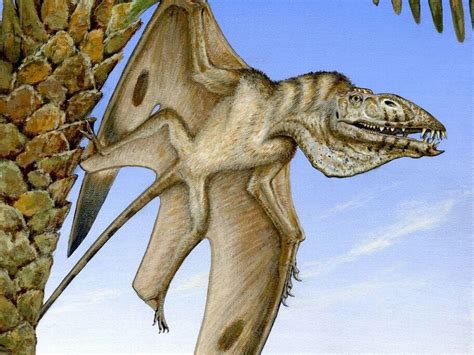 Remains Of 200 Million Year Old Pterosaur Found In Utah By Byu