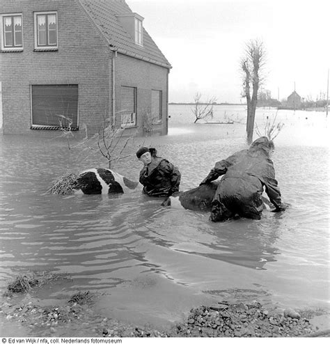 Flood In 1953 The Netherlands Geheugenvannederlandnl Nederland Historische Fotos