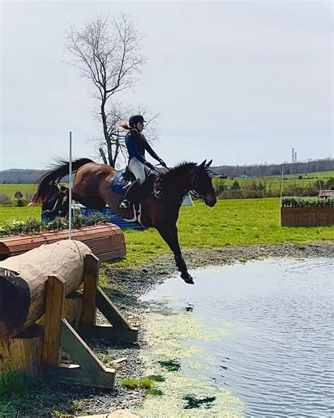 Reader Photo Challenge Eventing Horses Horse Nation
