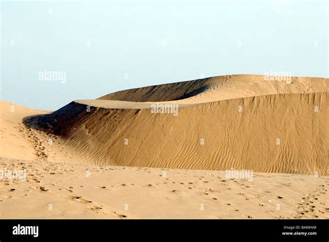 Dunes Thar Desert Jaisalmer Rajasthan India Stock Photo Alamy