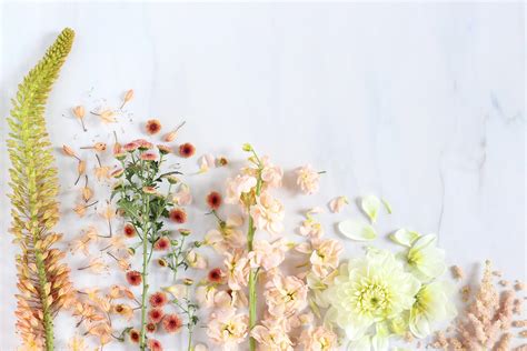 Aesthetic Spring Wallpapers Top Free Aesthetic Spring Backgrounds