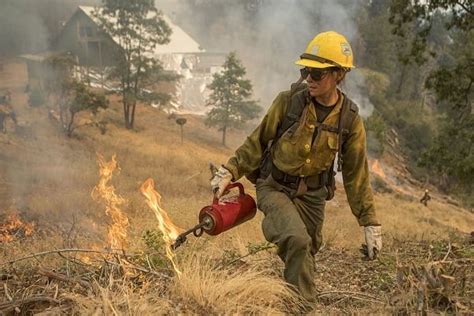 Prescribed And Controlled Burns Often Kick Off By Drip Torch Use The